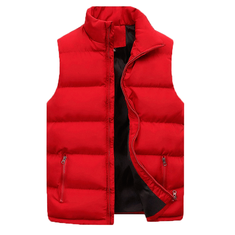 Men's quilted vest – Straight fit – Stand-up collar – Lightweight – Zipped pockets