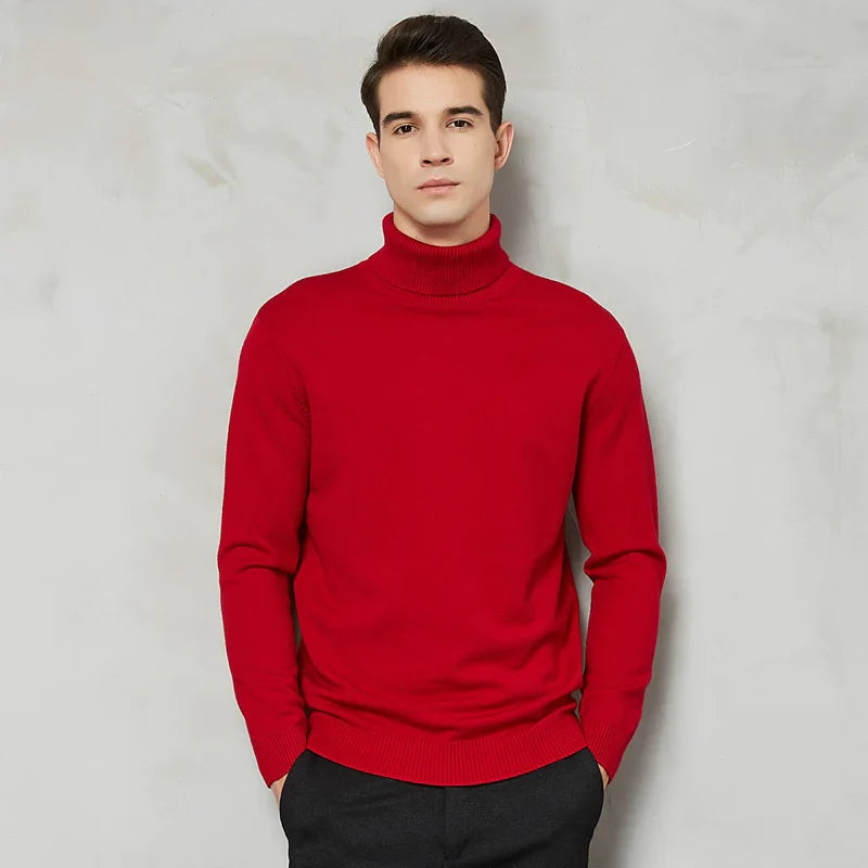 William Ribbed Turtleneck Sweater | Solid Turtleneck Sweater