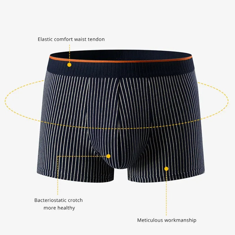Mattia Comfort Fit Boxer Briefs | Striped Boxer Briefs